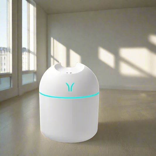 Portable Mini Humidifier and Essential Oil Diffuser, Cool Mist for Home and Travel